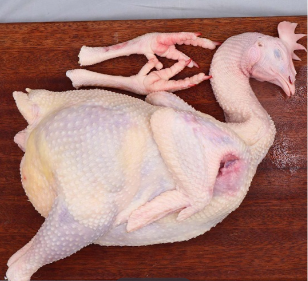 Gà ta nuôi thiên nhiên (gà mái) đã làm sạch 2-2,5 kg/con