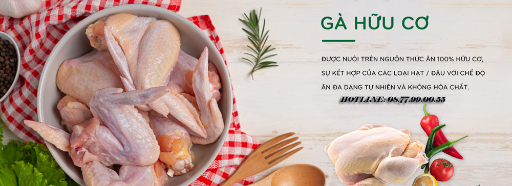 thịt gà đông lạnh giá sỉ