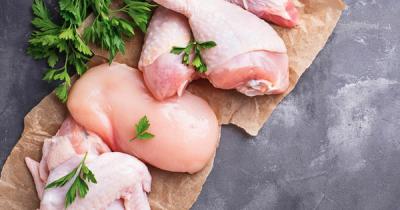 CÔNG TY VIFOOD – Nhà Cung Cấp Thịt Gà Đông Lạnh Uy Tín Tại TPHCM